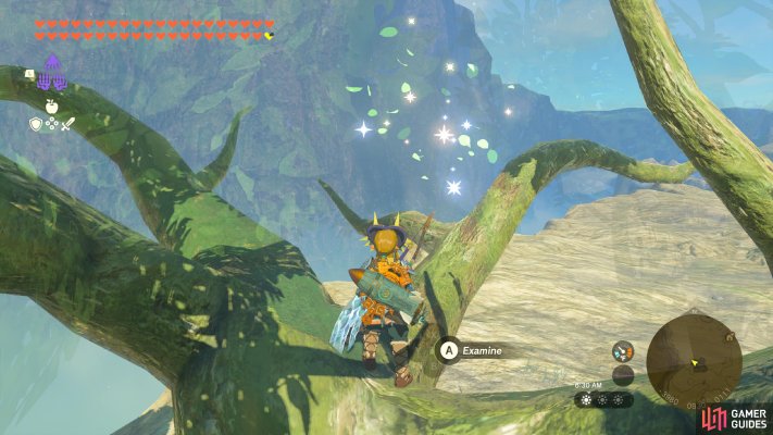 Korok Seed