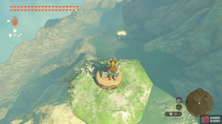 Korok Seed