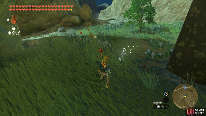 Korok Seed