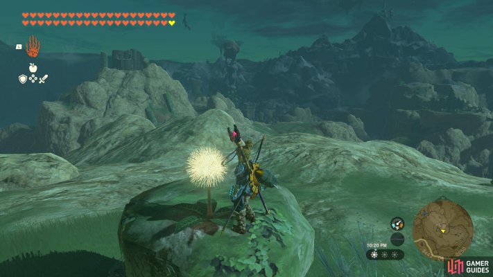 Korok Seed