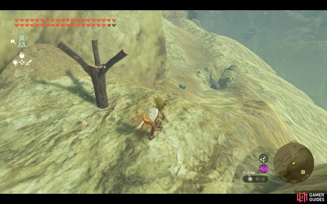 Korok Seed