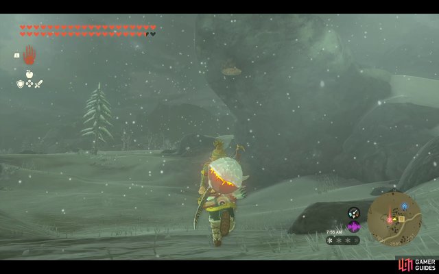 Korok Seed