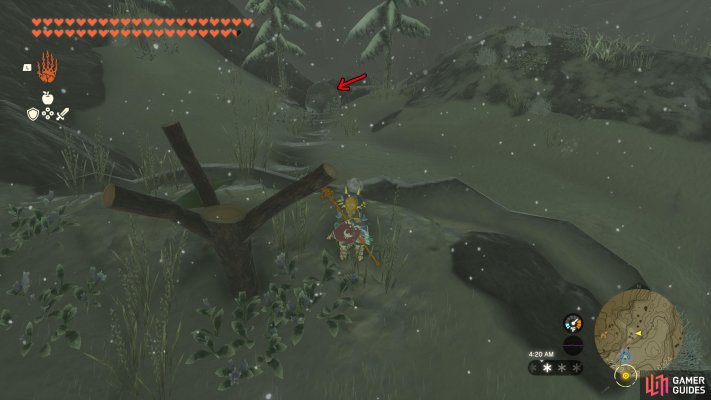 Korok Seed
