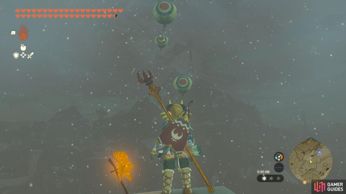 Korok Seed
