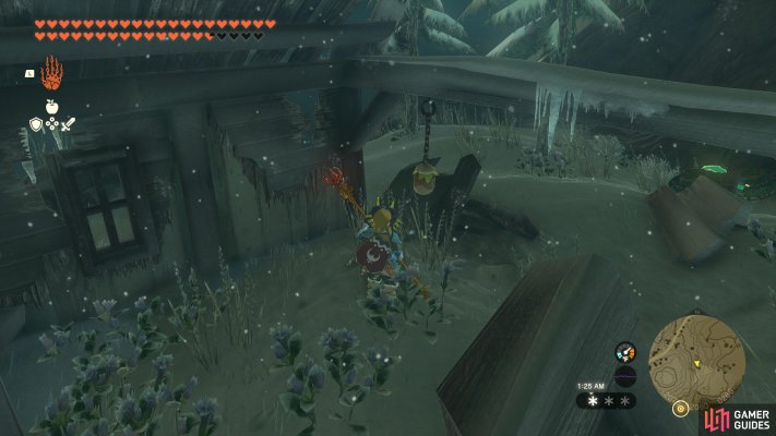 Korok Seed