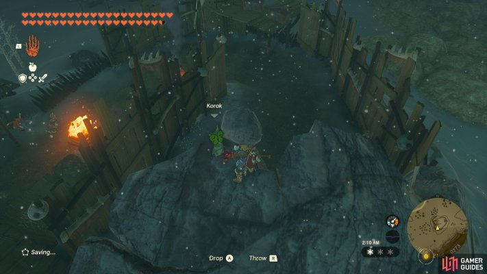 Korok Seed