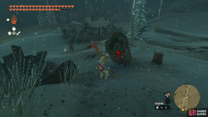 Korok Seed