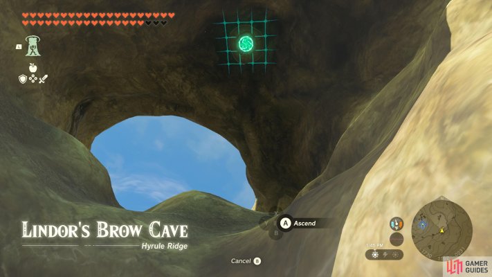 Korok Seed