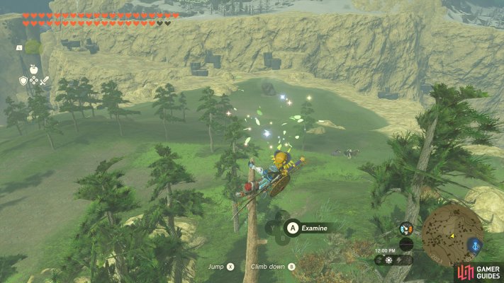 Korok Seed