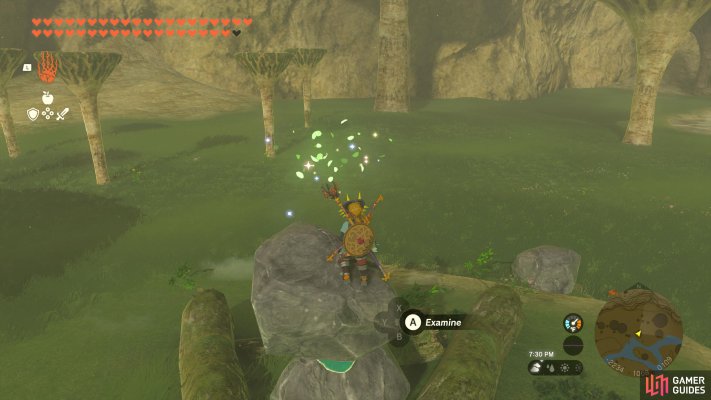 Korok Seed