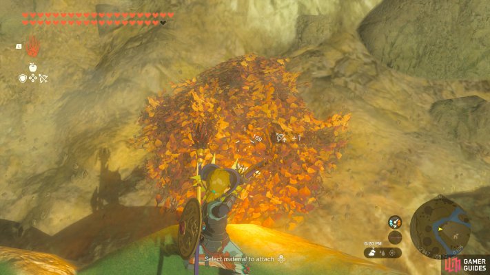 Korok Seed