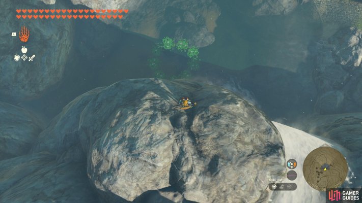 Korok Seed