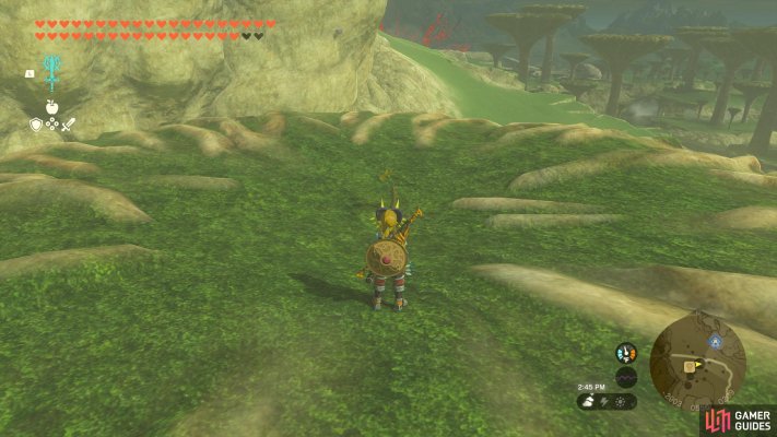Korok Seed