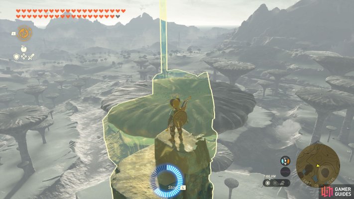Korok Seed