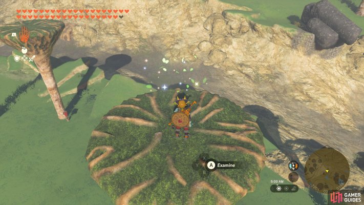 Korok Seed