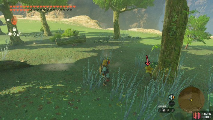 Korok Seed