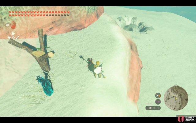 Korok Seed
