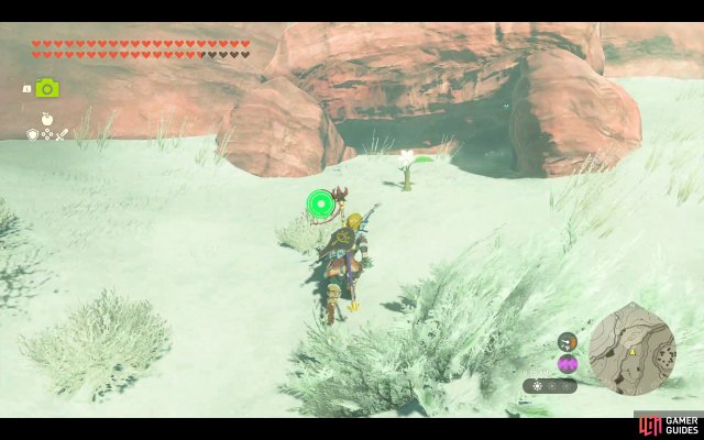 Korok Seed