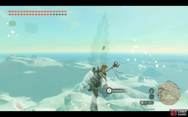 Korok Seed