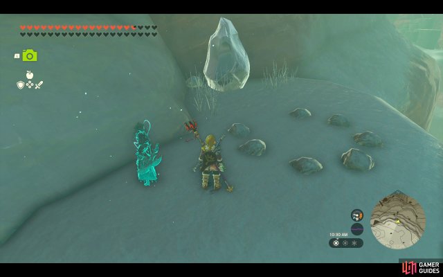 Korok Seed