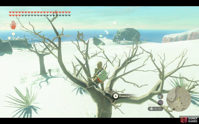 Korok Seed