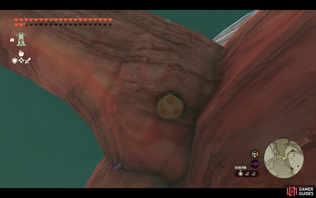 Korok Seed