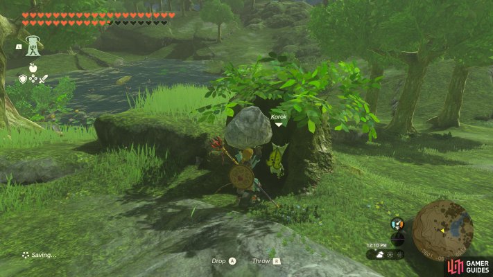 Korok Seed