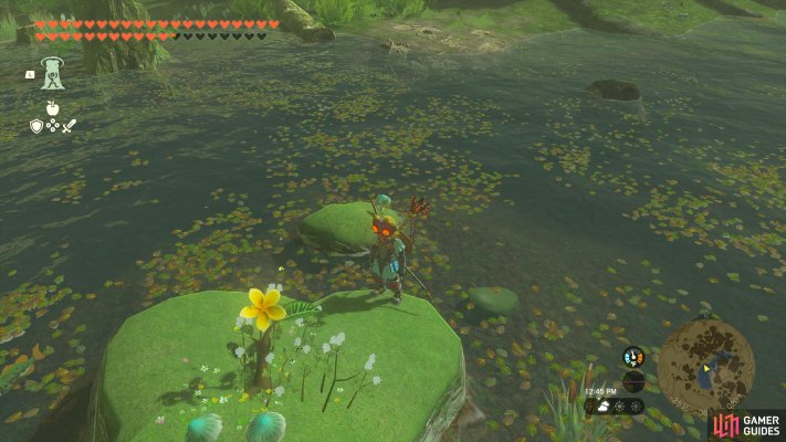Korok Seed