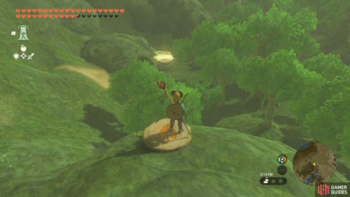 Korok Seed