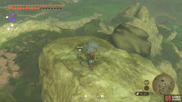 Korok Seed