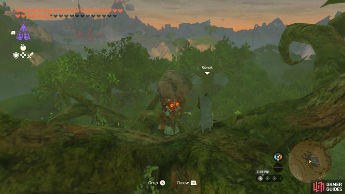 Korok Seed