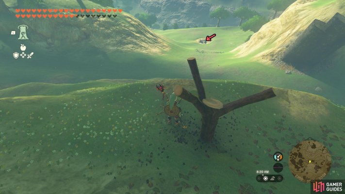 Korok Seed