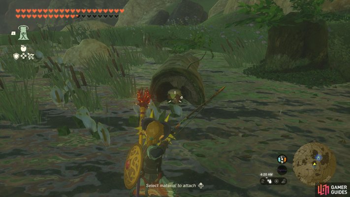 Korok Seed