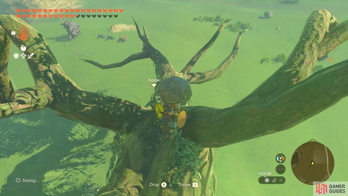 Korok Seed