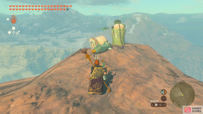 Korok Seed