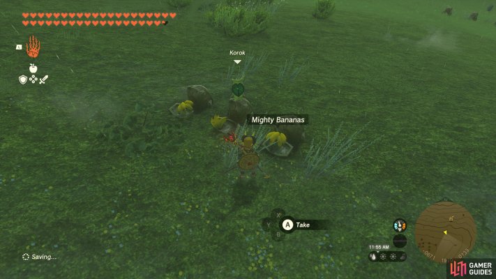 Korok Seed