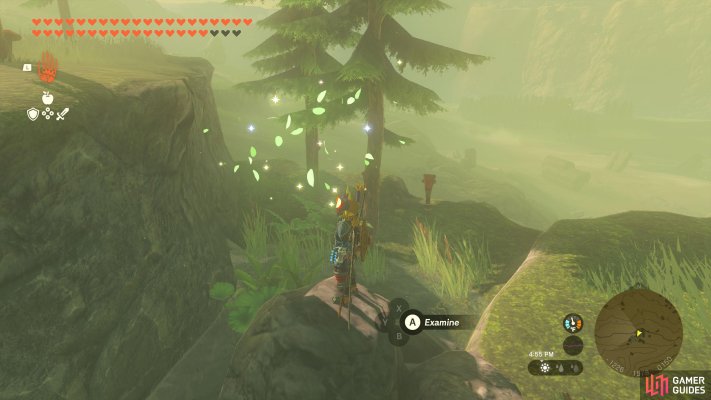 Korok Seed