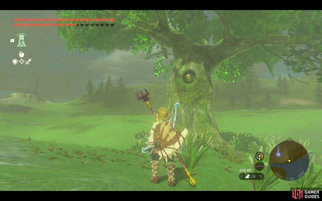 Korok Seed