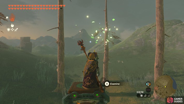 Korok Seed