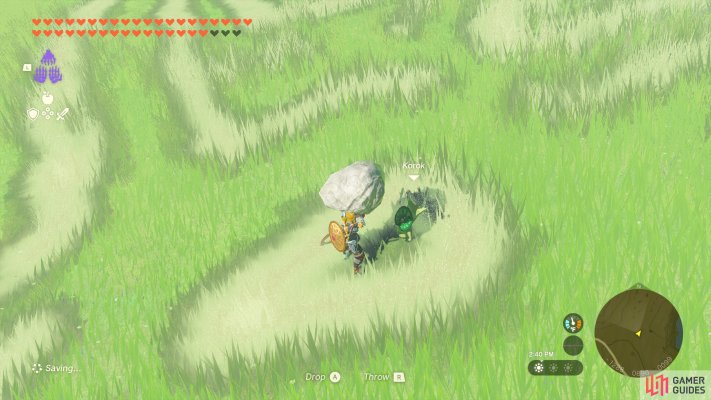 Korok Seed