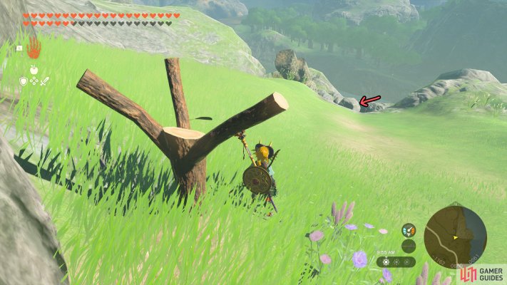 Korok Seed