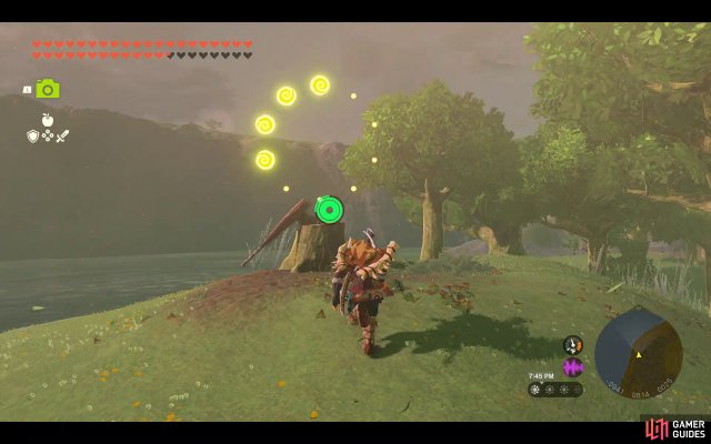 Korok Seed