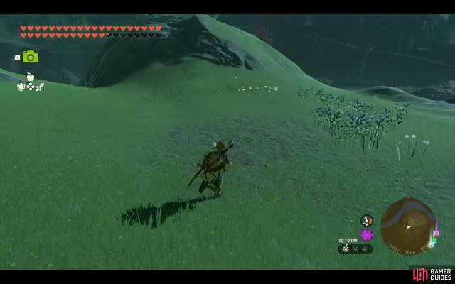 Korok Seed