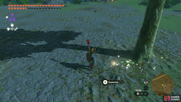 Korok Seed