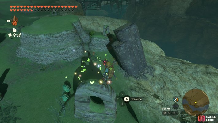 Korok Seed