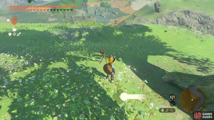 Korok Seed