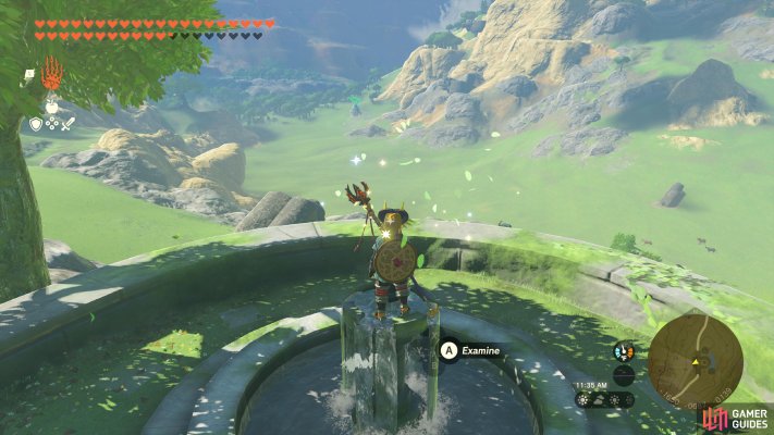 Korok Seed