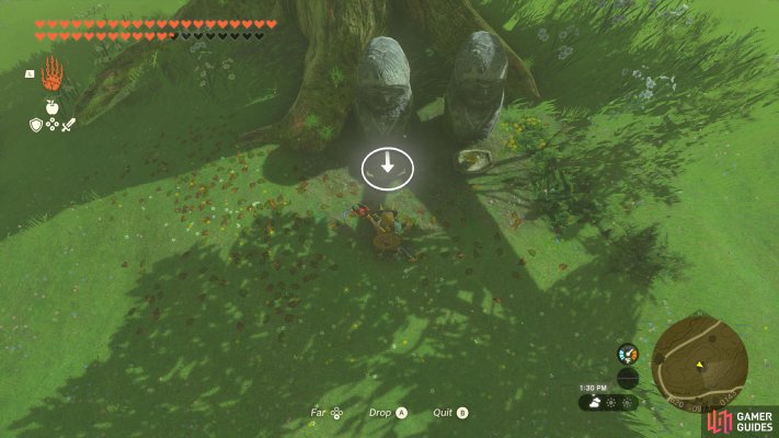 Korok Seed