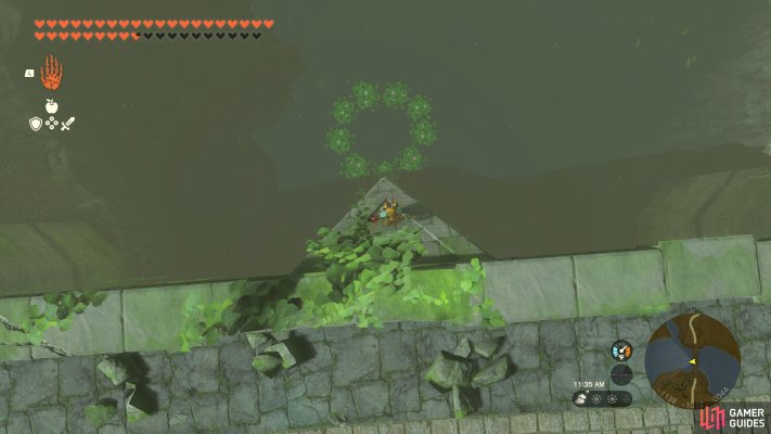 Korok Seed