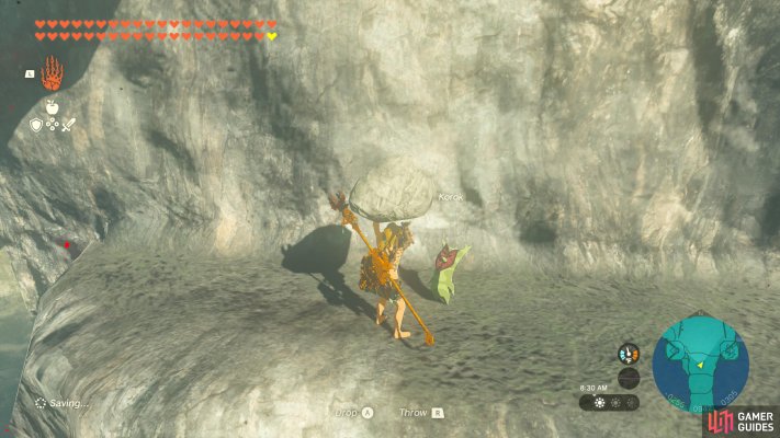 Korok Seed